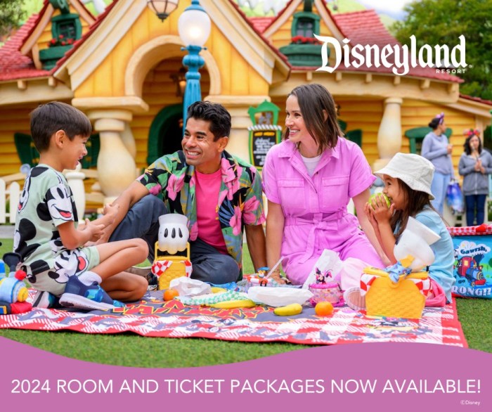 Family vacation packages to Disney World for 2024