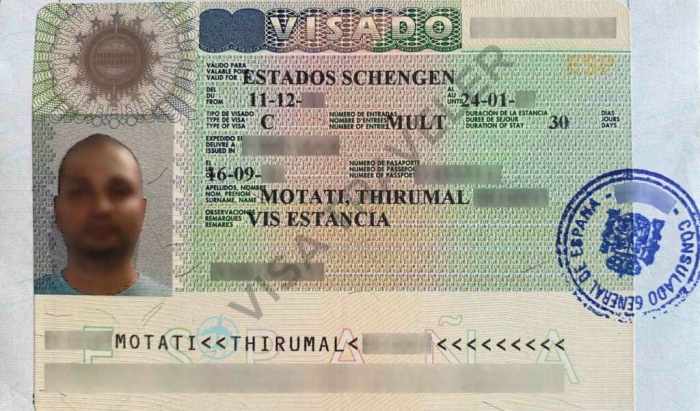 Visa schengen application form fill section step