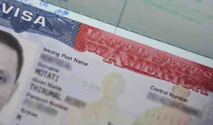 Visa tourist requirements application usa america united states visit details social if share procedure